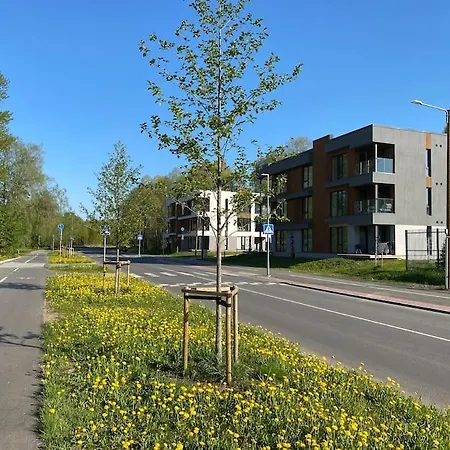 Cozy Near The Beach And The City Center